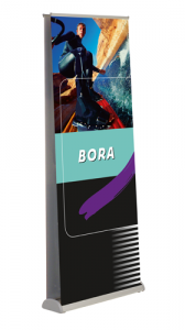 Bora - NAEP